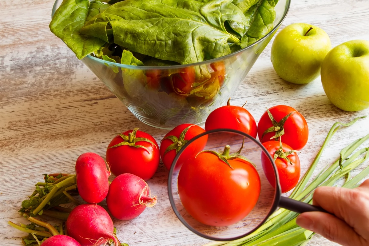 As normas alimentares e a segurança dos alimentos
